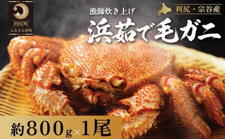 【2026年先行受付】北海道産 浜茹で毛ガニ　800g前後×1尾（未冷凍・チルド配送）利尻・宗谷産【2月より順次出荷】｜毛蟹 蟹 かに カニ味噌 蟹味噌 ボイル 海鮮 魚介 [1060048]