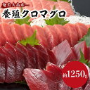 【ふるさと納税】奄美大島産養殖クロマグロ 1,250g以上 まるごと満喫セット 柵5P他 大トロ 中トロ 赤身 かま ホホの身 大容量 冷凍 | 鮪 約1,250g 5柵 刺身 養殖 海鮮丼 手巻き寿司 海鮮 高級 増量 グルメ ギフト おつまみ 瀬戸内町 黒マグロ 送料無料 瀬戸内 鹿児島 九州