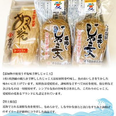 ふるさと納税 西予市 <伊予蒲鉾　特上揚巻き・無添加うす塩手押しじゃこ天セット>　天ぷら　魚介　おつまみ　手軽　郷土料理 |  | 01