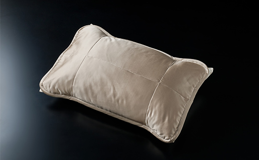 「毎日シルクに包まれて眠りたい」【中わた 富岡産シルク100％】 枕パット シャンパンゴールド シルク 絹 贈り物 ギフト 国産 F21E-456