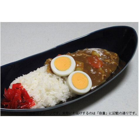 ARITA PORCELAIN LAB(アリタポーセリンラボ) 墨ルリ・ペア楕円皿(中) 有田焼 モダン パスタ皿 カレー皿 A35-217_イメージ2