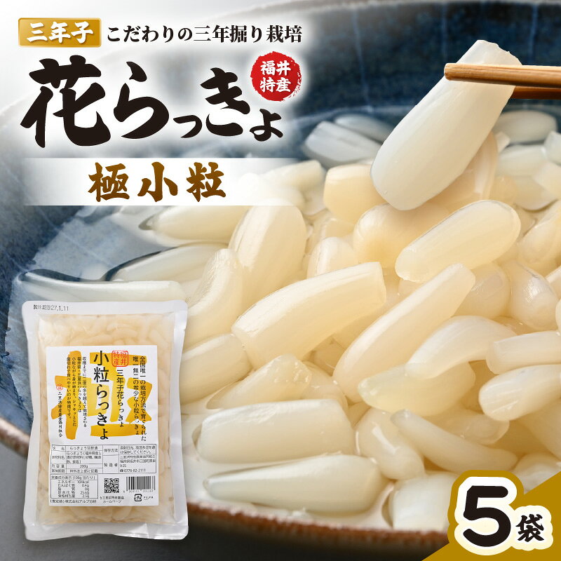 【ふるさと納税】 福井特産 三年子花らっきょ 極小粒らっきょ 200g×5袋 化学調味料不使用 『こだわりの三年掘り栽培』 希少 漬け 国産 漬け物 お漬物 ラッキョウ らっきょう