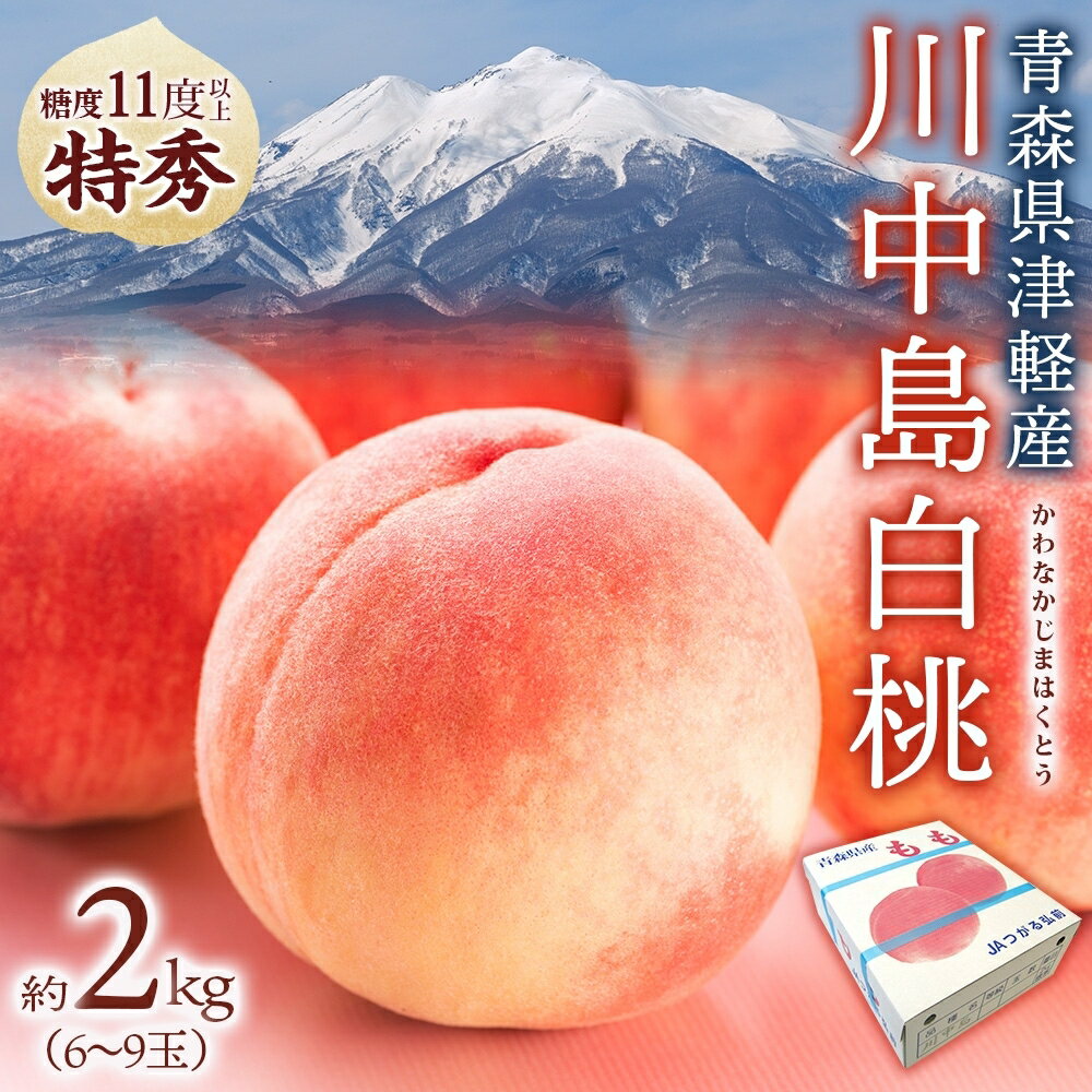 【ふるさと納税】桃 川中島白桃 約2kg 6～9玉 特秀 8月下旬～9月上旬配送 先行予約 白桃 糖度14度以上 もも 果実 フルーツ デザート 国産 青森県産 甘い 果樹 贅沢 お取り寄せ 産地直送 ギフト 贈答 青森県 西目屋村　お届け：2025年8月20日～2025年9月10日