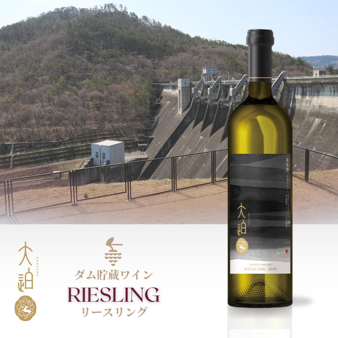 【ふるさと納税】 「早池峰の恵み」モリタワイン リースリング2022 ダム貯蔵ワイン 750ml ワイン大迫 白ワイン 花巻市 岩手県 早池峰 ダム