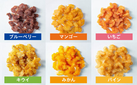 Softbits ドッグフード アソート果物 （40g×6P）/ ドッグフード 犬 いぬ ドッグ おやつ ペットフード / 大村市 / サポート[ACAM004]