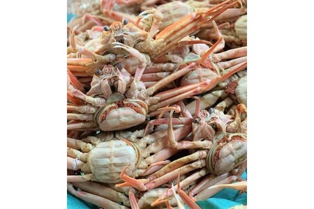 カニ ボイルガニ／茹でセコガニ（コッペガニ）130g前後5杯セット カニ 蟹 ズワイ蟹 ズワイガニ セコガニ セコ蟹 コッペガニ コッペ蟹 外子 内子 蟹味噌 カニ味噌 茹でガニ 茹で蟹 ボイルガニ 