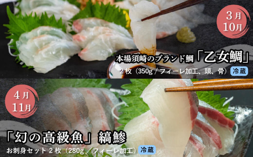 刺身 定期便 12ヶ月 小島水産 がお届けする！ 美味しい お刺身 1年 コース ( 鮮魚 下処理済 ) 産地直送 12回 新鮮 鮮魚 （ 鰤 ブリ 勘八 カンパチ 鯛 乙女鯛 真鯛 マダイ かつおの