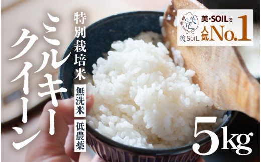 【先行予約】【令和7年産 新米】ミルキークイーン 5kg 無洗米 特別栽培米 低農薬 《食味値85点以上！こだわり無洗米》 / 福井県 あわら市 北陸 米 お米 人気 白米 精米 ※2025年9月上旬より順次発送 [aw032-a009]
