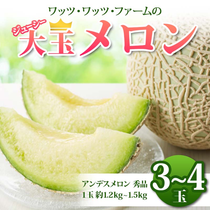 【ふるさと納税】 《2026年 先行予約》 ワッツ・ワッツ・ファームのジューシー大玉メロン 3玉 4玉 選べる玉数 果物 フルーツ FSY-2377var