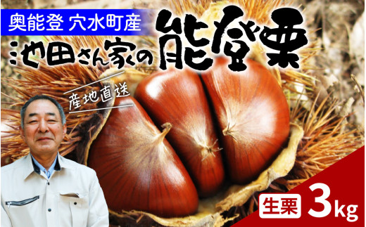 奥能登 池田栗園の能登栗 3kg