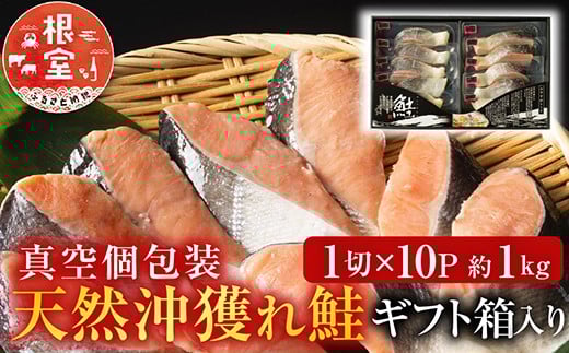 B-11060 天然沖獲れ鮭1切×10P(約1kg)