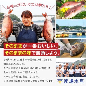 朝締め穂州鯛　サク2人前（3月配送）