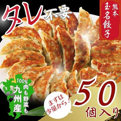 ふるさと納税 玉名市 玉名餃子  50個
