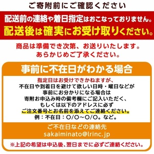 ＜先行予約受付中！8月下旬～11月上旬発送予定＞＜数量限定＞こばやし農園プレミアム新甘泉梨(計3kg・5～8玉) ふるさと納税 境港市 特産品 ジューシー 完熟 なし ナシ 果物 くだもの フルーツ 