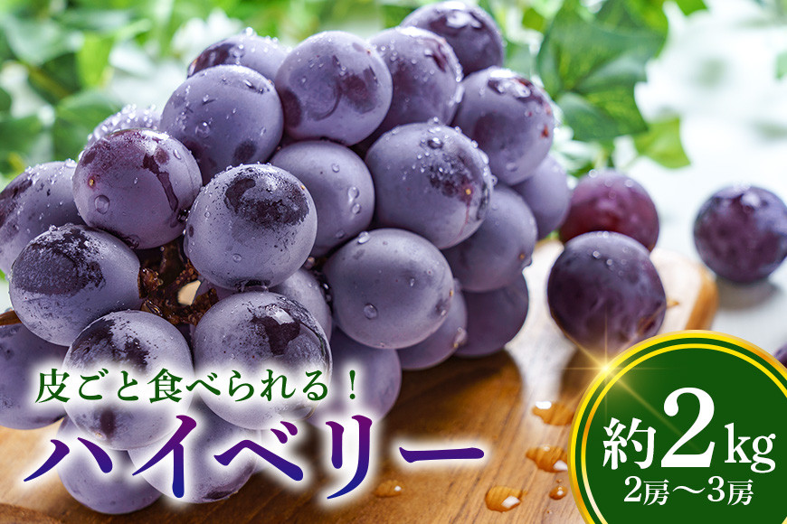 
                  【数量限定・期間限定】 ハイベリー 約2kg（2房～3房） ぶどう ブドウ 大粒 皮ごと食べられる ジューシー 果物 フルーツ くだもの 【9月上旬〜9月下旬順次発送予定】 54-B
                