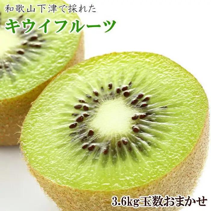 和歌山の下津で採れたキウイフルーツ約3.6kg（玉数おまかせ・秀品）★2027年１月中旬頃より順次発送［TM111］