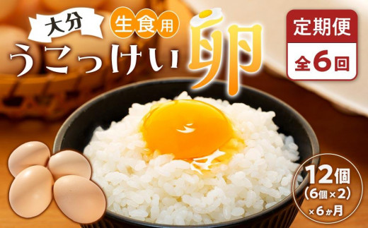 
                  【定期便 全6回】大分うこっけい卵　生食用12個（6個×2パック）＜一人暮らしの方におすすめ♪＞
                