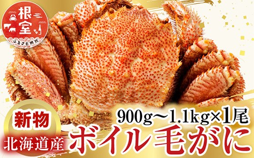 
                  F-28029 根室海鮮市場＜直送＞ボイル毛がに900g～1.1kg×1尾
                