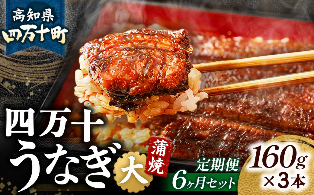 
            〈鰻大好き定期便〉うなぎ蒲焼き≪大≫（160g x 3本）6カ月セット Sesu-05 冷凍 蒲焼 鰻 ウナギ うなぎ 蒲焼き 肉厚 土用の丑の日 本格うなぎ
          