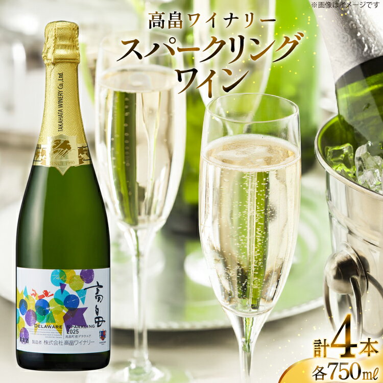 【ふるさと納税】 スパークリング 高畠ワイナリー スパークリングワイン 750ml 4本 [小田部商店 山形県 高畠町 tk06ayt180154] 白ワイン やや辛口 デラウェア お酒 酒