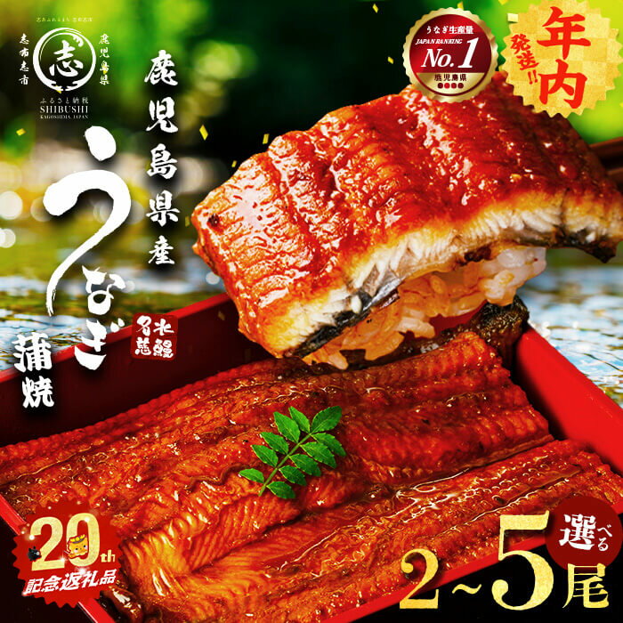 【丑の日までにお届け！7月20日入金まで】【緊急支援企画】【数量限定】鹿児島県産うなぎ蒲焼 名水慈鰻5尾(計800g以上・1尾あたり156〜185g以上) 鰻 ウナギ 5尾 国産 蒲焼 かばやき 冷凍 うな重 ひつまぶし タレ 山椒 ランキング 人気【鹿児島鰻】b