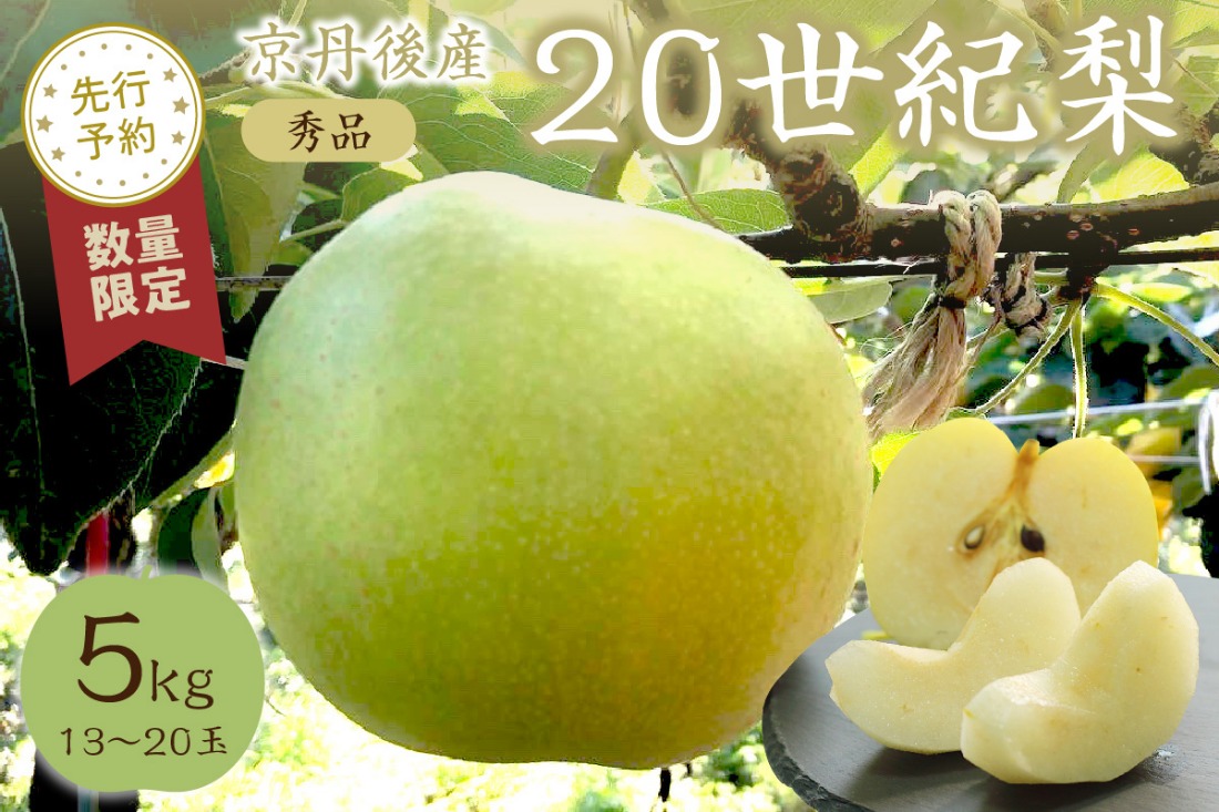 【先行予約／数量限定50】20世紀梨 秀品 5kg（13～20玉入り）（2026年9月上旬～発送）　SF00038