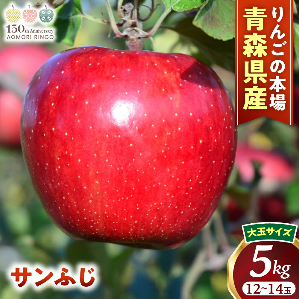 【ふるさと納税】人気No.1 青森りんご【サンふじ】約5kg（12〜14玉・大玉サイズ）【2025年産・先行予約】★2025年12月上旬〜12月下旬頃発送予定★アップル 林檎 フルーツ 果物 果実 青森県産 三戸 贈答 ギフト プレゼント 産地直送 農家直送 青森県三戸町 H2908
