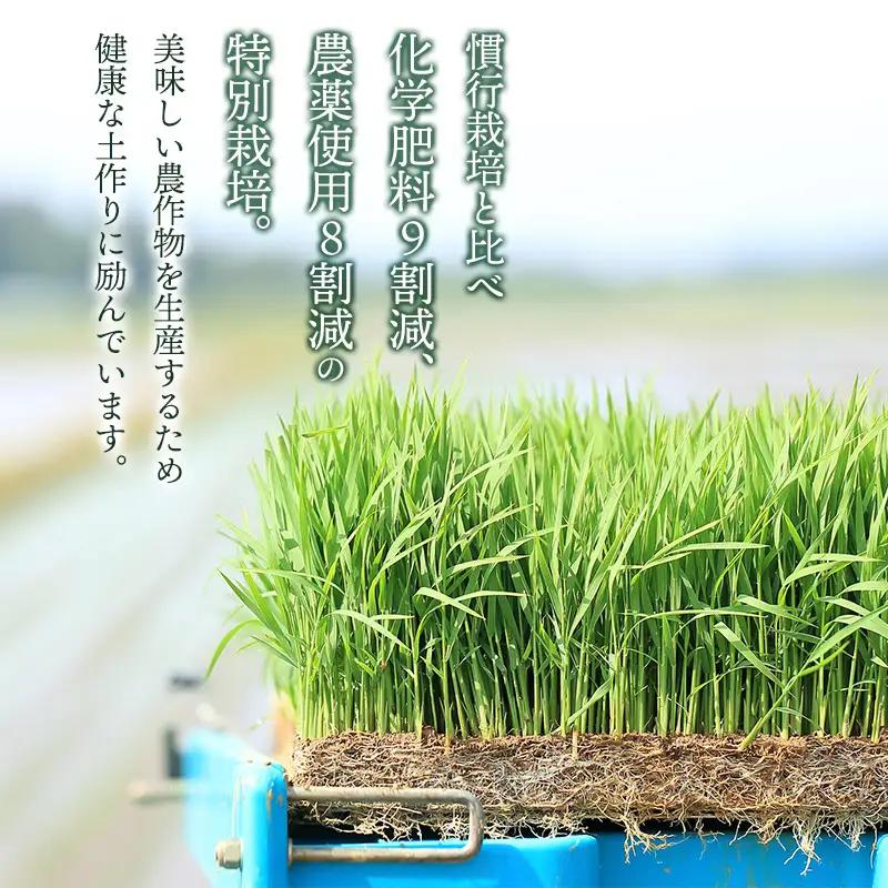 【令和7年産】特別栽培米 つや姫 【玄米】　10kg（5kg×2袋）　山形県鶴岡市産　出羽弥兵衛　| お米 米 コメ こめ ライス つやひめ 10キロ ご飯 ブランド米 国産 主食 お取り寄せ 返礼品