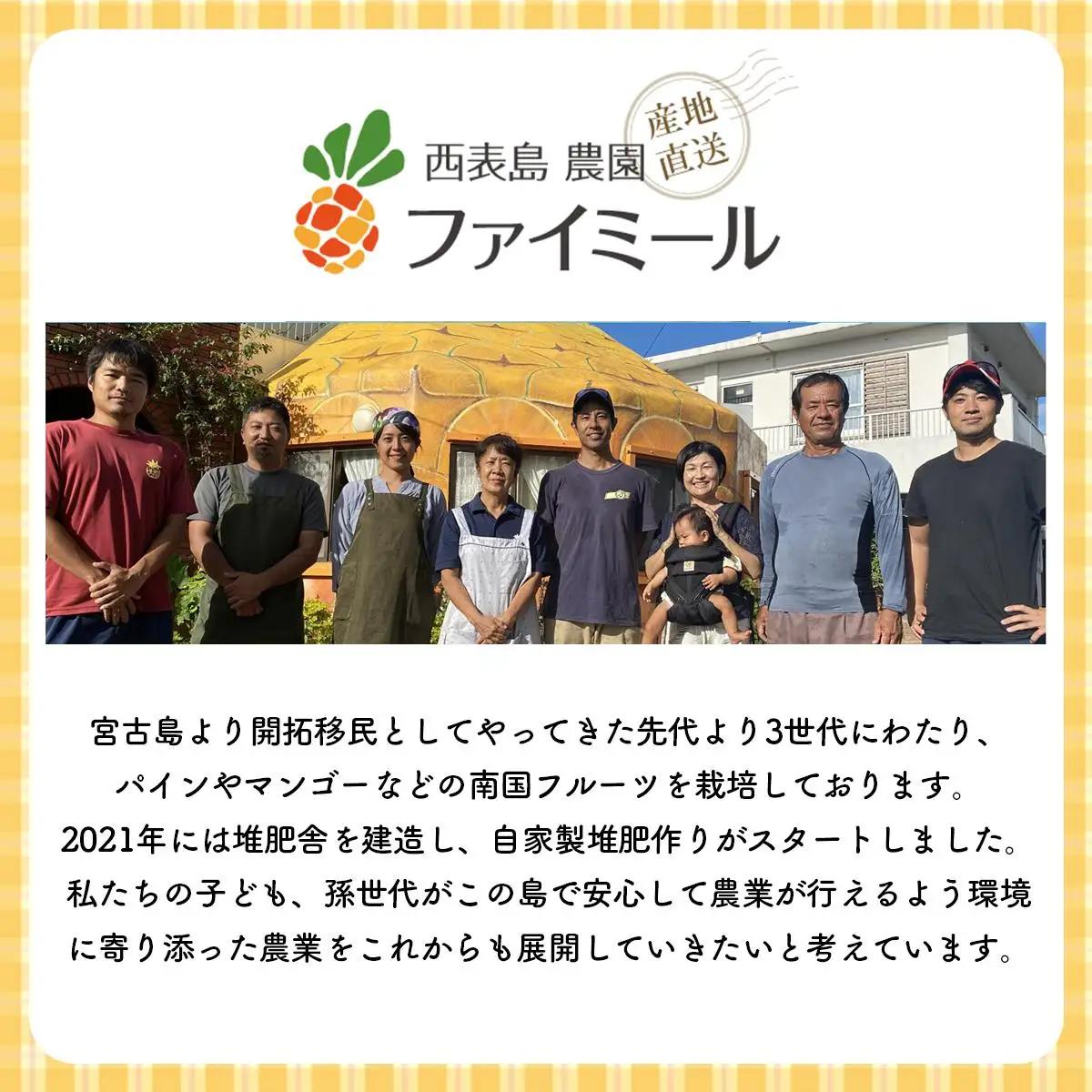 アップルマンゴー 約2kg 