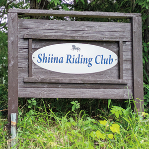 Shiina Riding Club　引き馬体験10分程度【茨城県 北茨城市 アクティビティ おでかけ レンタル 体験 チケット 馬】（DA002）