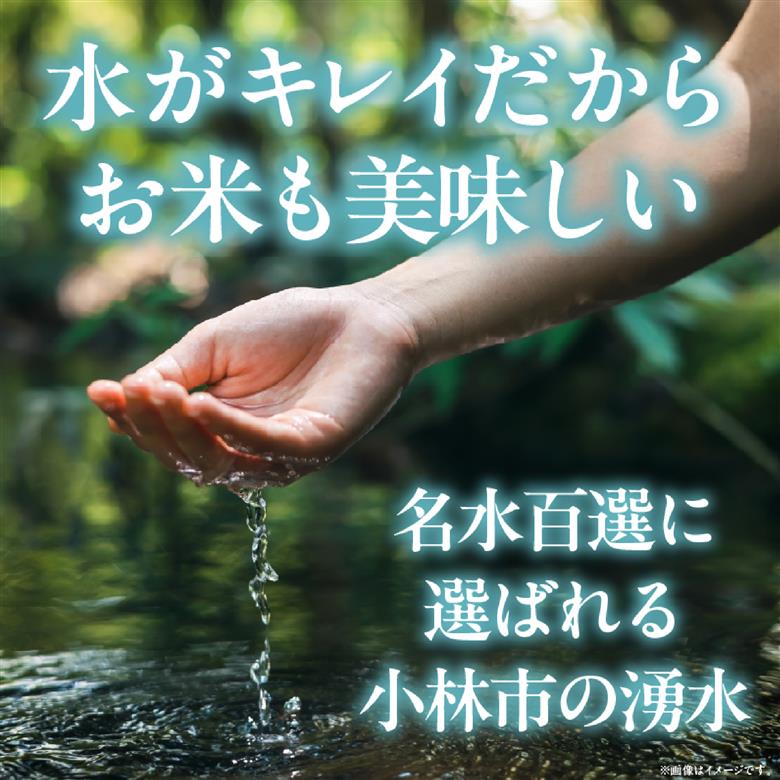 【生活応援米】湧水で育った小林市産ブレンド米 20kg（5kg×4袋 国産 お米 米 精米 ブレンド米 白米 家庭用）