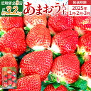 【ふるさと納税】【3回定期便】 期間限定 いちご あまおう 苺 イチゴ 3.2kg あまおう（大玉）、4パック×3回（1月、2月、3月）定期便 【2025年1月～3月中に順次出荷予定】 ※北海道・沖縄・離島は配送不可 大木町産 おおきベリー CT002