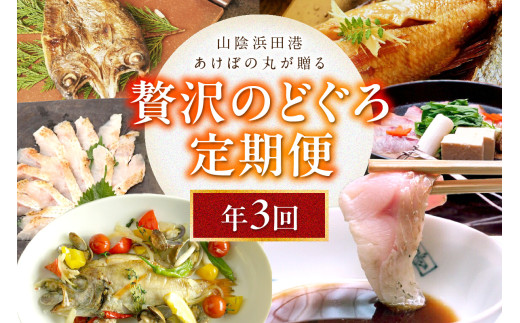 山陰浜田港あけぼの丸が贈る贅沢のどぐろ定期便（3回）魚介 のどぐろ アカムツ 一夜干し 刺し身 のどぐろしゃぶセット セット しゃぶしゃぶ 定期便 定期 3回 【146_2045】