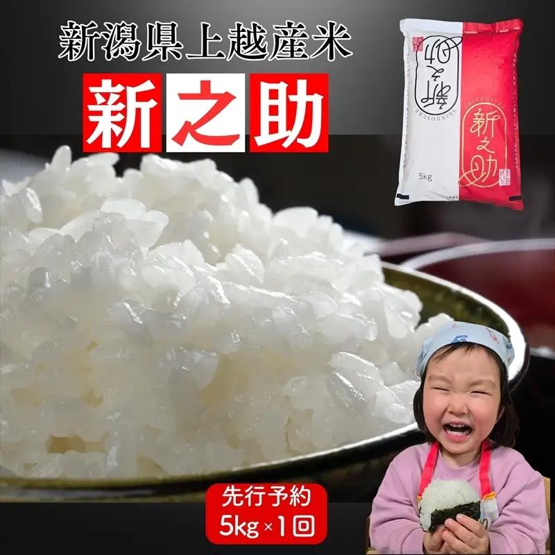 令和8年産 先行予約 新之助 新米 米ヴィレッジさんわ 新之助 5kg 新潟県産