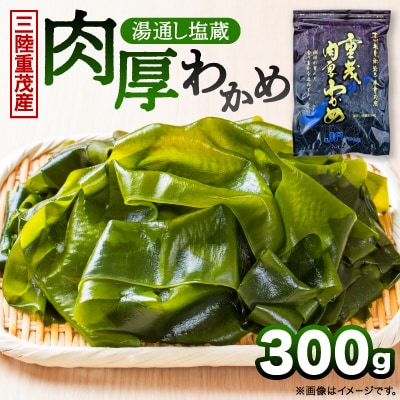 【三陸重茂産わかめ】湯通し塩蔵　肉厚わかめ　300g【配送不可地域：離島】【1685350】