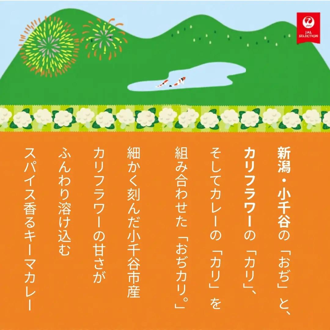おぢカリ。 キーマカレー 10個 カリフラワー 新潟県 小千谷市 たかの