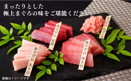 長崎県産 本マグロ (大トロ・中トロ・赤身) 計800g以上 海鮮丼のタレ付き【本家永松家】 冷凍 真空パック マグロ まぐろ 鮪 大トロ 大とろ 中トロ 中とろ 赤身 セット 刺身 海鮮丼 A143