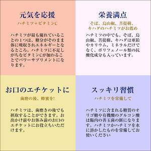フルーツ漬け蜂蜜2本セット (梅みつ&生姜みつ)