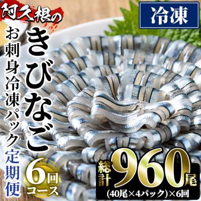 ふるさと納税 阿久根市 【毎月定期便】鹿児島県産!阿久根のきびなごお刺身セット 計960尾(40尾×4P×6回)全6回