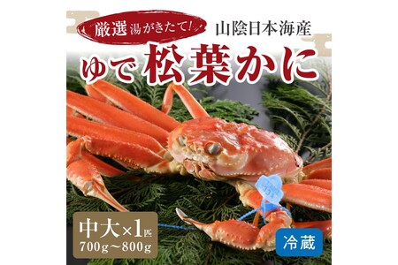 【1～3月発送】厳選湯がきたて！山陰日本海産ゆで松葉かに　700g～800g中大サイズ/北畿水産