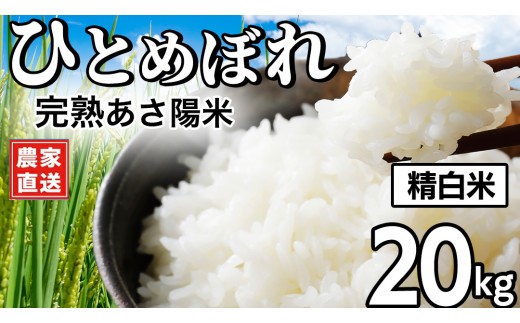 
                  【 新米 】 完熟あさ陽米 (精白米) 20kg (5kg×4) ひとめぼれ 特別栽培米 令和8年産 新米 生産農家直送  米 産地直送 こめ 精米 白米 ご飯 あさ陽米 岩手県 特別栽培 農家直送 事業者応援 生産者支援 日常使い (CP030)
                