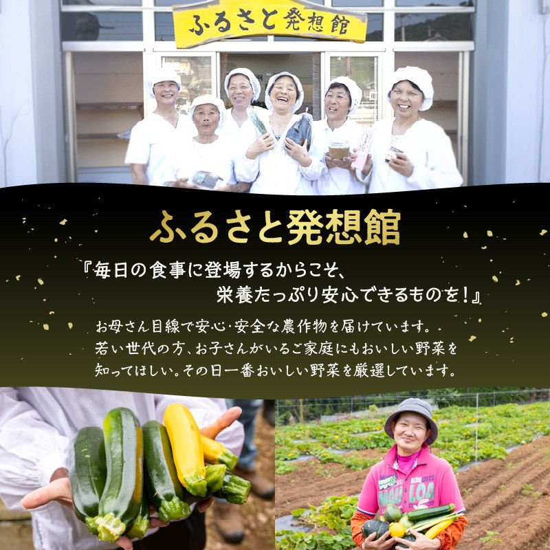 玄海町産 旬の野菜定期便（3ヶ月） 