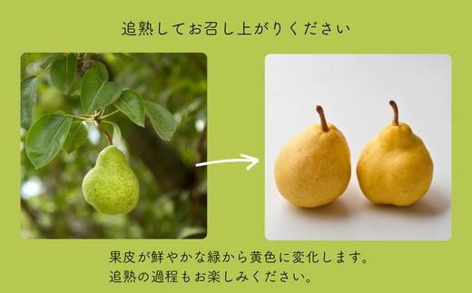 黄色に追熟してからお召し上がりください。