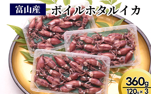 【2024年3月中旬以降発送】富山産ボイルホタルイカ360g（120g×3）