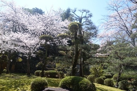八幡市立松花堂庭園ペアチケット 庭園 美術館 利用券