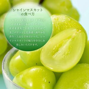【2025年先行予約】［大原観光果樹園］シャインマスカット 3～4房（約2kg）化粧箱入り［026-a015］