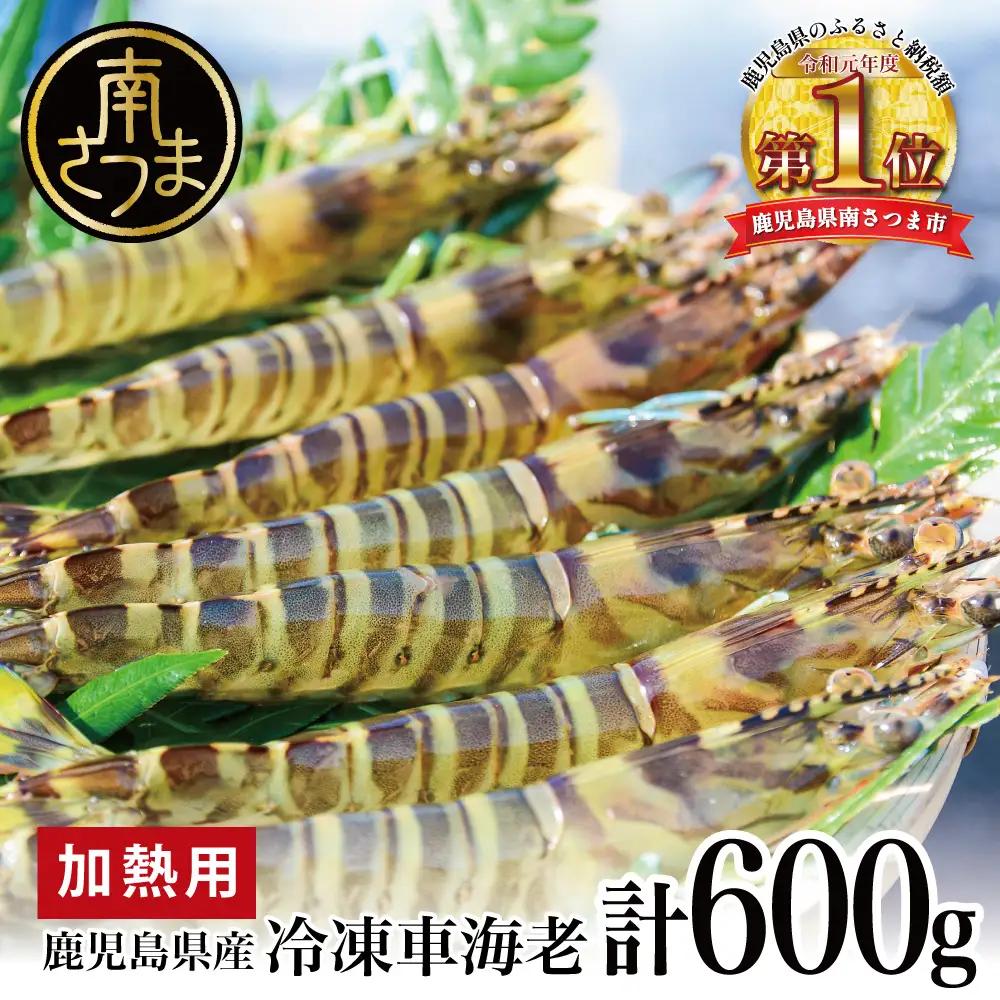 【鹿児島県産】冷凍 車海老 600g （加熱用） 車エビ 車えび 海老 エビ えび 海の幸 海鮮 天ぷら エビフライ エビチリ 冷凍 博多浦マリンファーム 南さつま市