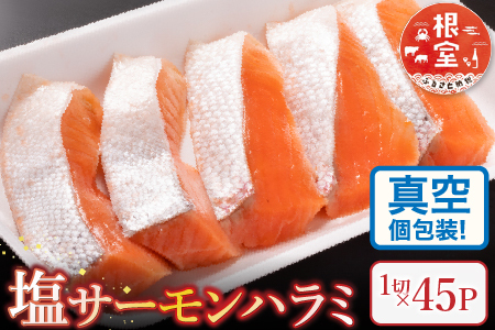 塩サーモンハラミ1切(約40g)×45P B-09063