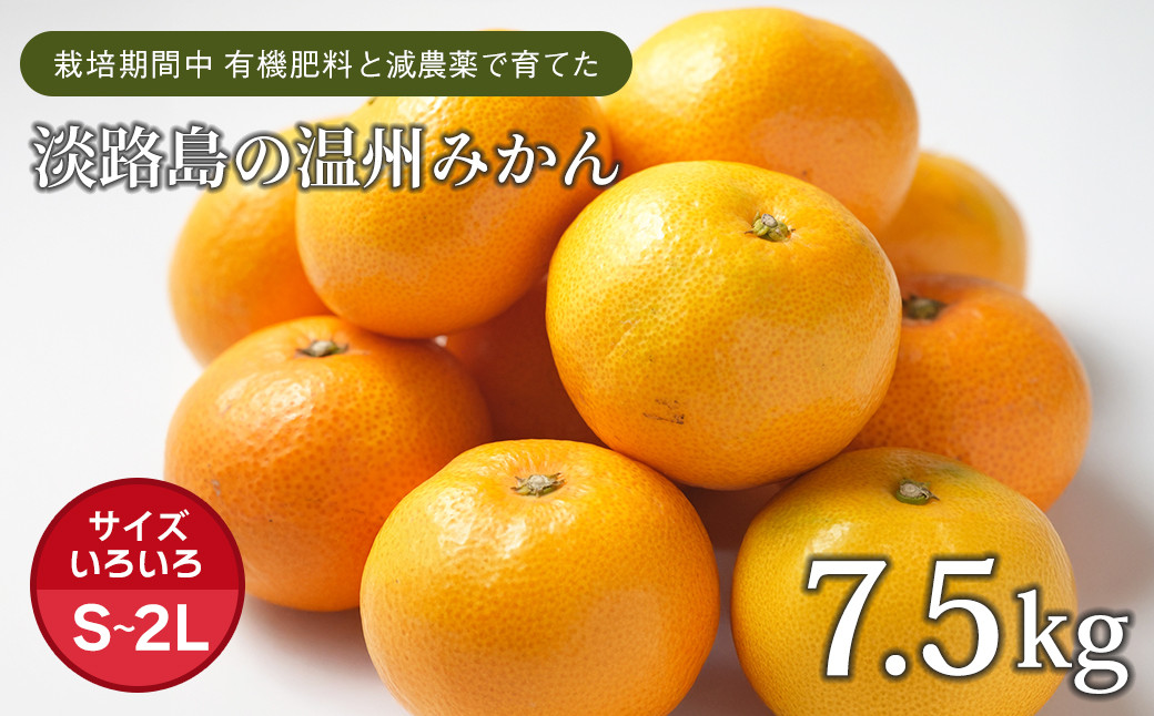 
片山農園の淡路島みかん(温州みかん)7.5kg【サイズいろいろS～2Lサイズ】【発送時期2024年11月頃~2024年1月頃】
