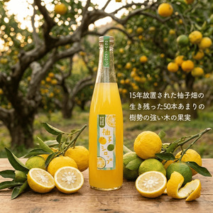 柚子シロップ 550ml×2本（柚子果汁と砂糖のみ）abuiro